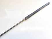 Gasdruckfeder Kofferraum Peugeot 3008, I 2008.01 - 2016.06 Gebraucht,