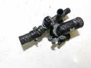 Thermostat Nissan X-Trail, 2007.06 - 2013.01 8200907234c,