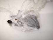 Fensterheber motor - Vorne Rechts Volkswagen Passat, B7 2010.08 - 2014.06 3C0959793,981676-135 3C0959701