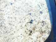 Seitenfenster Seitenscheibe - Nissan X-Trail, 2001.06 - 2007.06 as2,