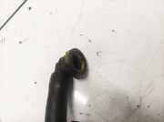 Entl?ftungsschlauch Kraftstoffbeh?lter Nissan Primera, P12 2002.01 - 2008.12 Gebraucht,