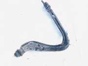 Tankeinfüllstutzen Tankrohr Kraftstoffrohr Renault Scenic, I 1999.09 - 2003.06 facelift 7700424075, 7700432338