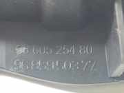 T?rinnengriff - Vorne Linke Citroen C5, II 2008.02 - 2011.01 9660525480,9660525480 9685950377