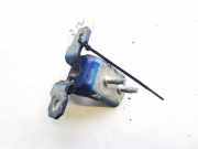 T?rscharnier Vorne Renault Laguna, II 2001.03 - 2006.05 Gebraucht,