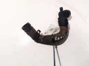 Kühlerschlauch Citroen C5, I 2001.03 - 2008.02 Gebraucht,