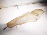 Scheibenwaschbehälter Vorne Wischwasserbehälter Renault Safrane, 1992.04 - 1996.07 7700811192, 7700804327