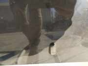 Waschwasserdüse Scheibenreinigung Volkswagen Golf, III 1993.07 - 1999.04 Gebraucht,