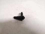 T?rkontakt - Linke Hyundai Santa Fe, 2006.03 - 2012.09 Gebraucht,