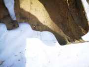 Radhausschale - Hinten Linke Volkswagen Golf, VI 2008.10 - 2012.06 Gebraucht,