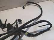 Kabelbaum Einparkhilfe Honda FR-V, 2004.08 - 2009.12 Gebraucht,