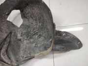 Radhausschale - Vorne Rechts Skoda Superb, II 2008.03 - 2013.06 Gebraucht ,