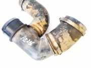 Intercooler Schlauch Fiat Ulysse, II 2002.06 - 2014.12 75030275, 15097