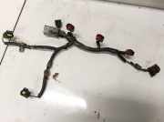 Kabelbaum Ford Mondeo, 2000.11 - 2007.03 1s7g9h589af,lf01-67-080