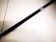 Zierleiste Leiste - Vorne Linke Ford Fiesta, IV 2000.06 - 2002.06 facelift Gebraucht,