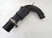 Intercooler Schlauch Renault Scenic, II 2003.06 - 2006.06 8200240894,82002611657