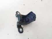 Türscharnier Hinten Renault Laguna, II 2001.03 - 2006.05 Gebraucht,
