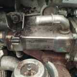 Abgaskühler AGR-Kühler Renault Scenic, II 2003.06 - 2006.06 8200360566a, 7700107471