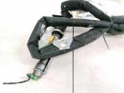 Kopfairbag - Vorne Rechts Nissan Qashqai, I 2006.01 - 2010.06 6009402,