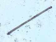 Stabilisator Stabi Hinten Hinterachse Hyundai Lantra, 1990.10 - 1995.11 Gebraucht,