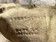 Radhausschale - Hinten Rechts Toyota Corolla Verso, II 2001.09 - 2004.05 Gebraucht,