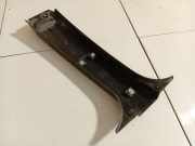 Zierleiste Leiste - Hinten Linke Renault Espace, IV 2002.11 - 2014.12 8200096314,8200096314