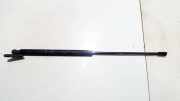 Gasdruckfeder Kofferraum Toyota Prius, 2003.06 - 2009.01 689600w430,2601wl 0445n