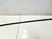 Zierleiste Leiste - Hinten Linke Peugeot 407, 2004.05 - 2010.12 Gebraucht,
