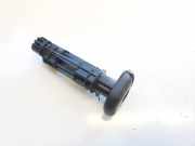 Innenausstattung Peugeot 207, 2006.02 - 2009.06 9653189477,