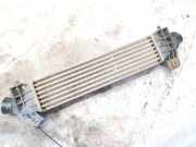 Ladeluftkühler Ford Mondeo, 2000.11 - 2007.03 868963a,is70-9l440ad