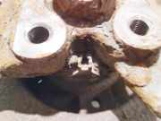 Achszapfen Achsk?rper - Hinten Rechts Renault Grand Scenic, II 2009.02 - 2013.06 Gebraucht,