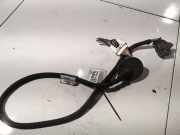Kabelbaum Renault Laguna, III 2007.10 - 2010.11 Gebraucht,