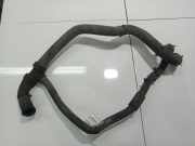 K?hlerschlauch Renault Scenic, III 2009.02 - 2013.06 Gebraucht,