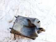 Luftfilterkasten Opel Zafira, B 2005.07 - 2008.01 55557127,55557127 4613885936