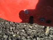 Türschloss Stangen - Vorne Rechts Citroen Berlingo, II 2008.04 - 2018 Gebraucht,