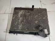 Wasserkühler Citroen C4 Picasso, I 2006.01 - 2013.06 Gebraucht,