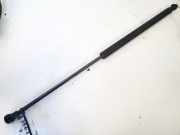 Gasfeder für Motorhaube Citroen C5, I 2001.03 - 2008.02 Gebraucht,