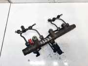 Kraftstoffverteiler Citroen C5, I 2001.03 - 2008.02 0445214019,