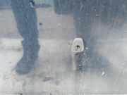 Waschwasserdüse Scheibenreinigung Volvo S80, 1998.05 - 2004.06 Gebraucht,