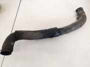 Kühlerschlauch Hyundai Trajet, 2000.03 - 2008.07 Gebraucht,