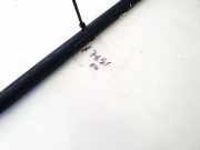 Gasfeder für Motorhaube Opel Vectra, C 2002.04 - 2005.10 244541730512,