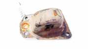 Lagerbock rachsträger - Hinten Rechts Volkswagen Golf, V 2003.10 - 2008.10 1k0505130g, BGU