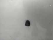 Waschwasserd?se Scheibenreinigung Hyundai Elantra, 2000.06 - 2006.07 Gebraucht,