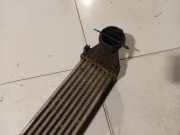 Ladeluftkühler Mercedes-Benz W245 2005 - 2011 A1695000000, A 169 500 00 00 Q04 G0976 EHR Q04G0976 EHR