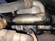 Abgaskühler AGR-Kühler Skoda Fabia, II 5J 2007.01 - 2010.06 038131513k,