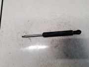 Gasdruckfeder Kofferraum Mazda 121, 1990.11 - 1997.05 D06156940A,D06156940A
