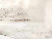 Scheibenwaschbehälter Vorne Wischwasserbehälter Renault Laguna, II 2001.03 - 2006.05 8200050361,