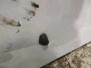 Waschwasserd?se Scheibenreinigung Opel Agila B 2008 - 2014 Gebraucht,