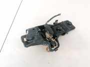 Lampenträger Heckleuchte - Hinten Volkswagen Touran, 2003.01 - 2006.10 Gebraucht, AZV
