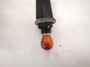 Glühbirnenfassung Blinker Renault Scenic, II 2003.06 - 2006.06 Gebraucht,