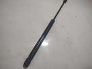 Gasfeder für Motorhaube Audi 100, C4 1991.01 - 1994.06 443823359B,4685035